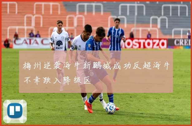 梅州逆袭海牛新鹏城成功反超海牛不幸跌入降级区