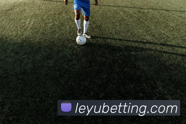 乐鱼体育发展历程